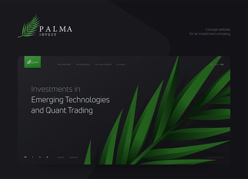 投资公司网站设计 打造专业与信任的数字化门面